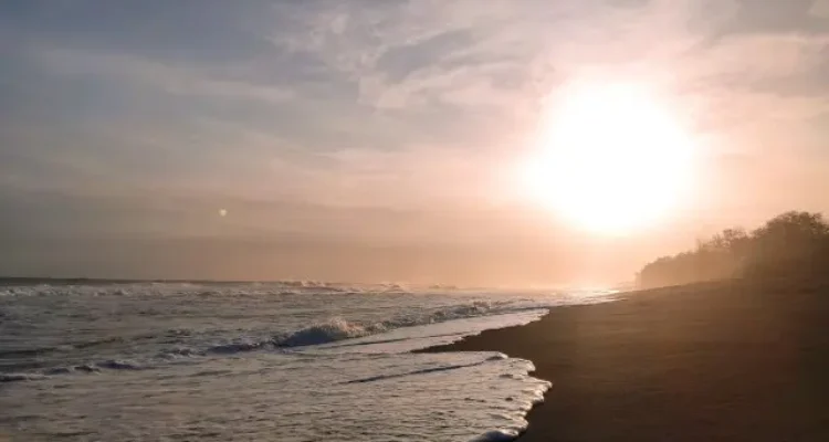 Alamat Pantai Bidara