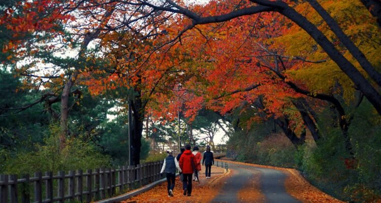 Wisata di Korea Selatan - 8 Lokasi yang Paling Diminati Orang-Orang