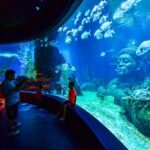 Tempat Wisata Bangkok - Sea Life Bangkok Ocean World (shutterstock)