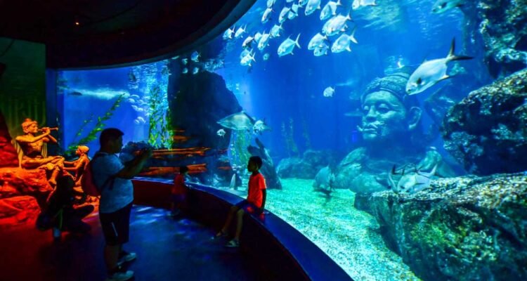 Tempat Wisata Bangkok - Sea Life Bangkok Ocean World (shutterstock)