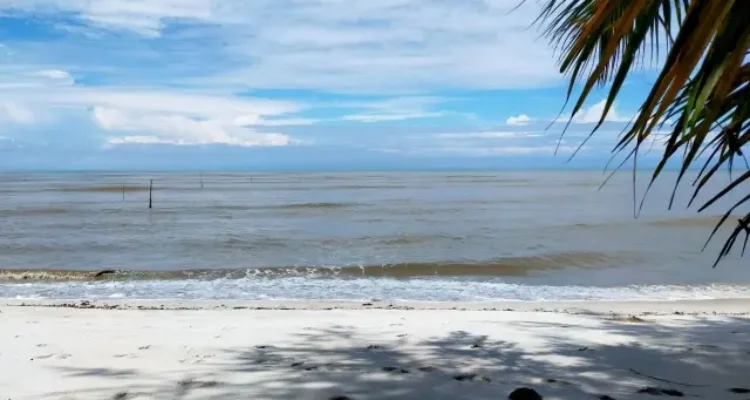 Aktivitas Menarik Pantai Cemara Kembar