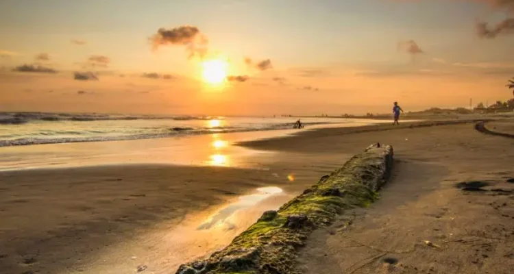 Shutterstock Daya Tarik Pantai Parangtritis