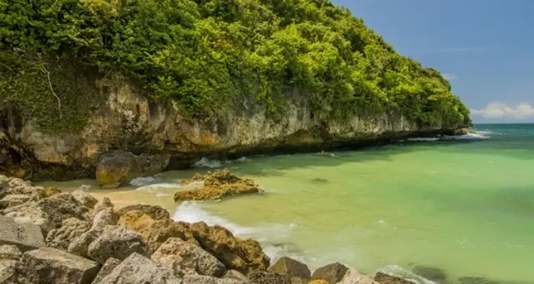 Shutterstock Daya Tarik Pantai Sadeng