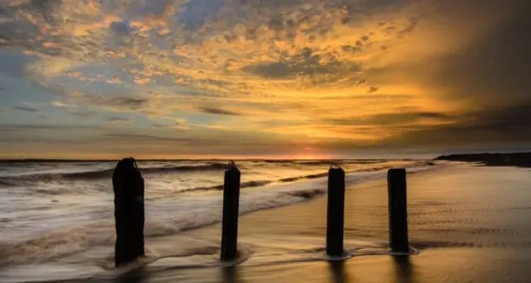 Shutterstock Daya Tarik Pantai Trisik