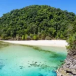 Shutterstock Daya Tarik Pulau Sempu