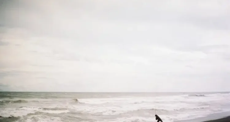 Unsplash Daya Tarik Pantai Parangkusumo