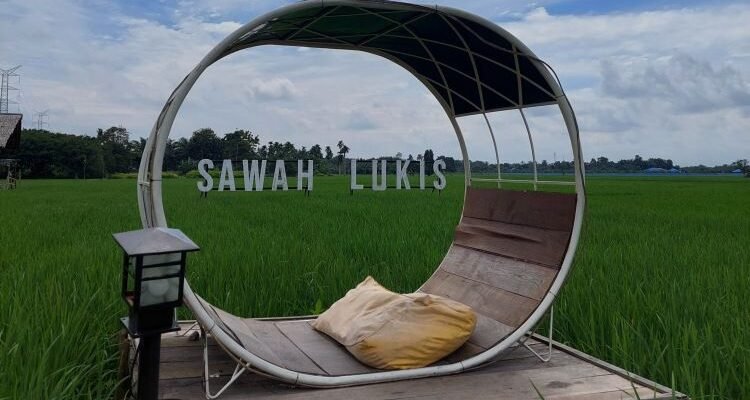 Sawah Lukis, Objek Wisata Hits dengan Hamparan Persawahan Nan Hijau di Binjai