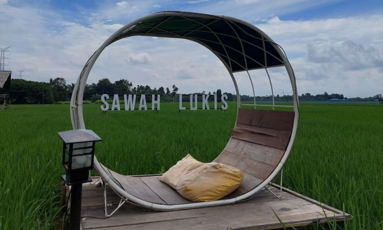 Sawah Lukis, Objek Wisata Hits dengan Hamparan Persawahan Nan Hijau di Binjai