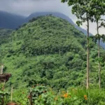 Puthuk Kembar, Menikmati Panorama Alam Indah dari Ketinggian di Mojokerto