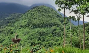 Puthuk Kembar, Menikmati Panorama Alam Indah dari Ketinggian di Mojokerto