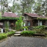 Villa Air Natural Resort, Penginapan Unik Berkonsep Khas Jepang di Bandung